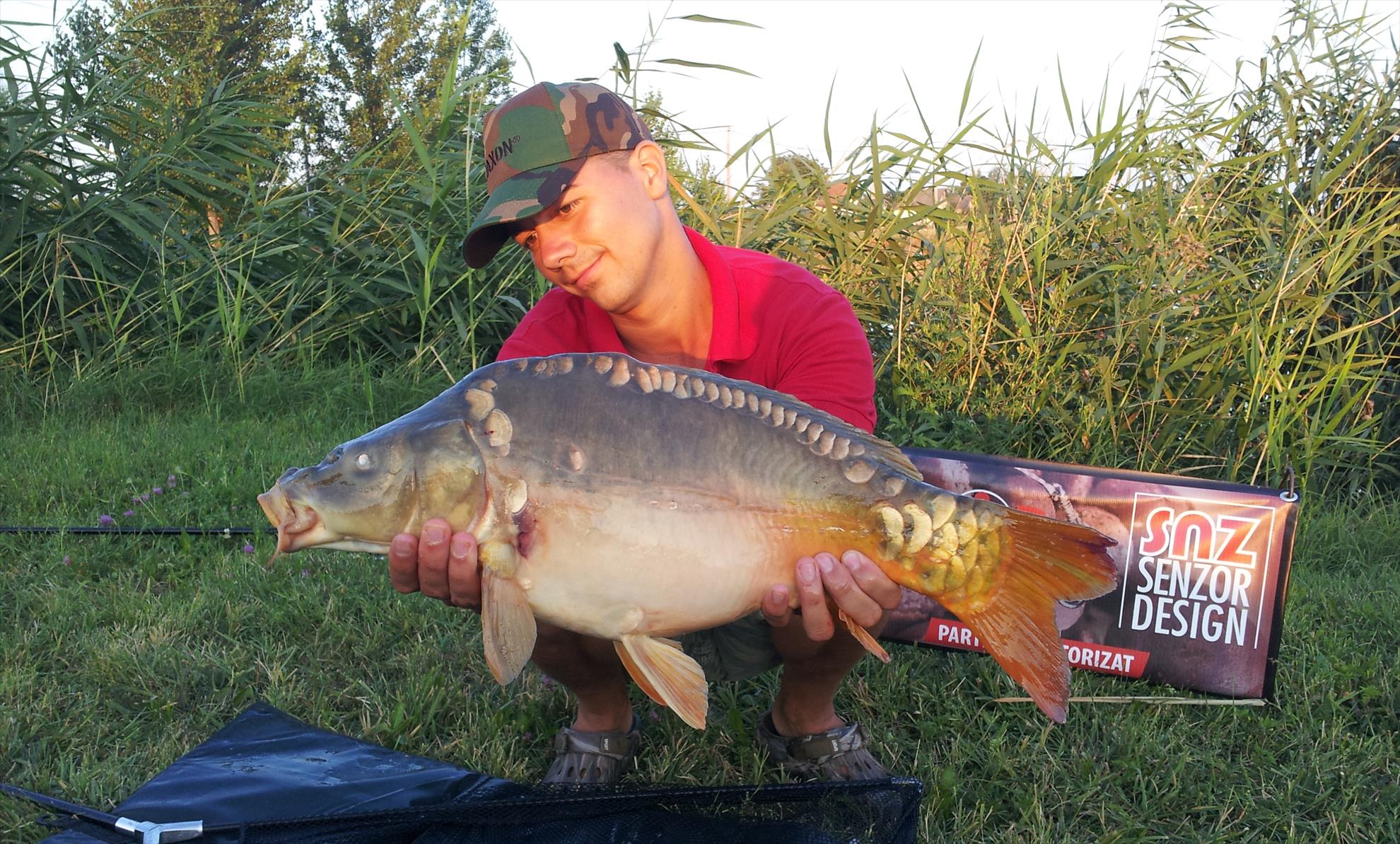 Silver  Ungaria 17 - 18 iul. - 20130717194617.jpg